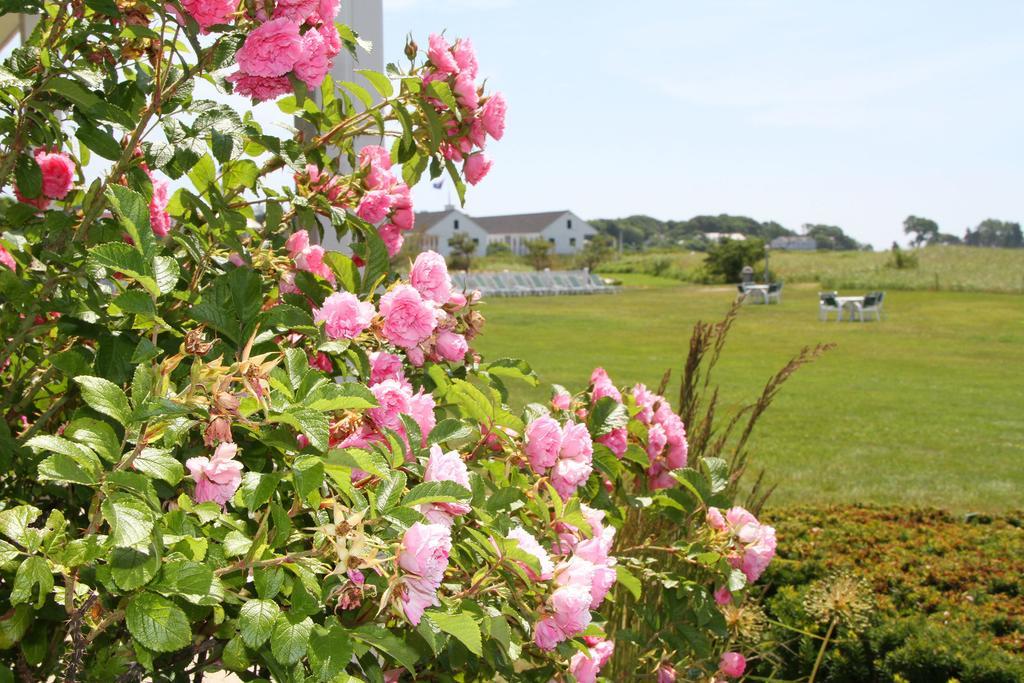 The Seaside Inn Kennebunk Exterior foto